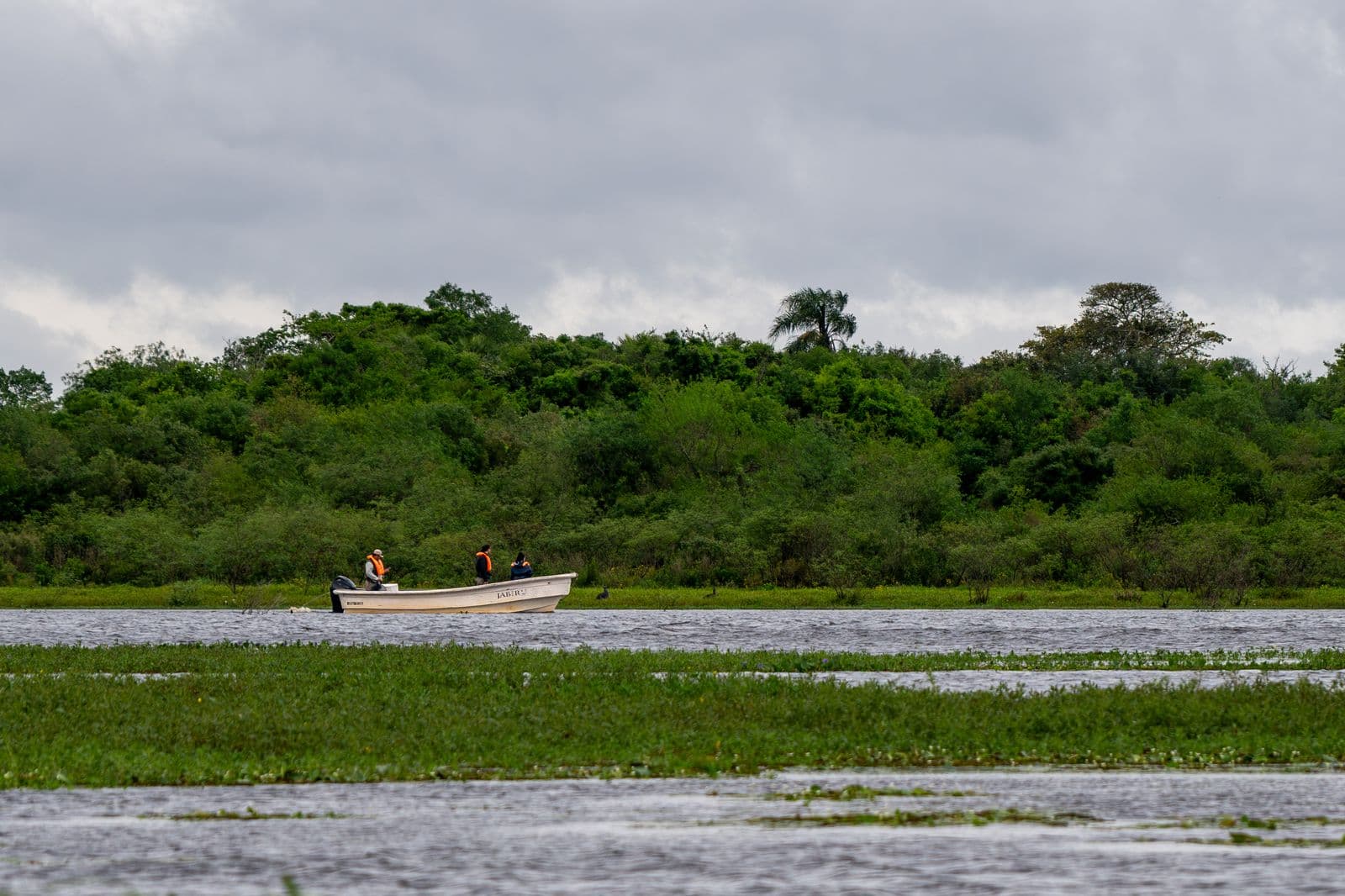 Bote de pesca navegando el Paraná entre camalotes, en Corrientes